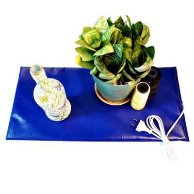m-s-2-EasySeedling