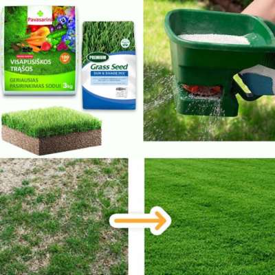 m s 1 easygrass LT