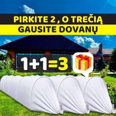 1+1=3 main LT